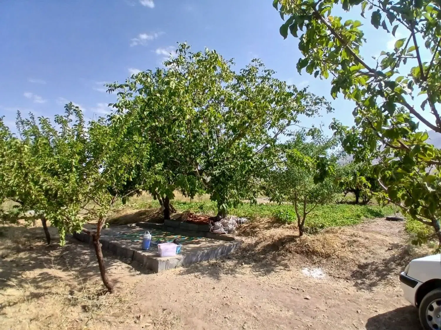 فروش باغ ۲۵۰۰متری روستای حسین آباد