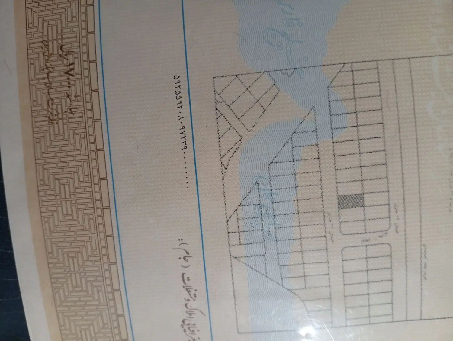 زمین ثبت تک برگ