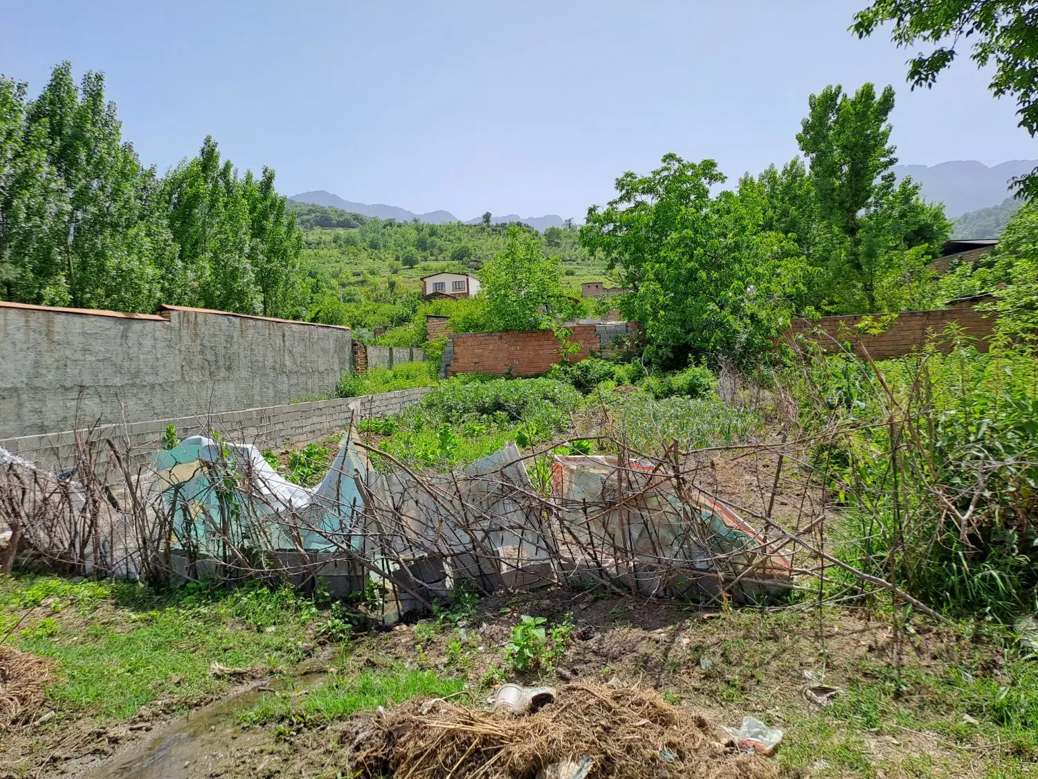 زمین شموشک علیا