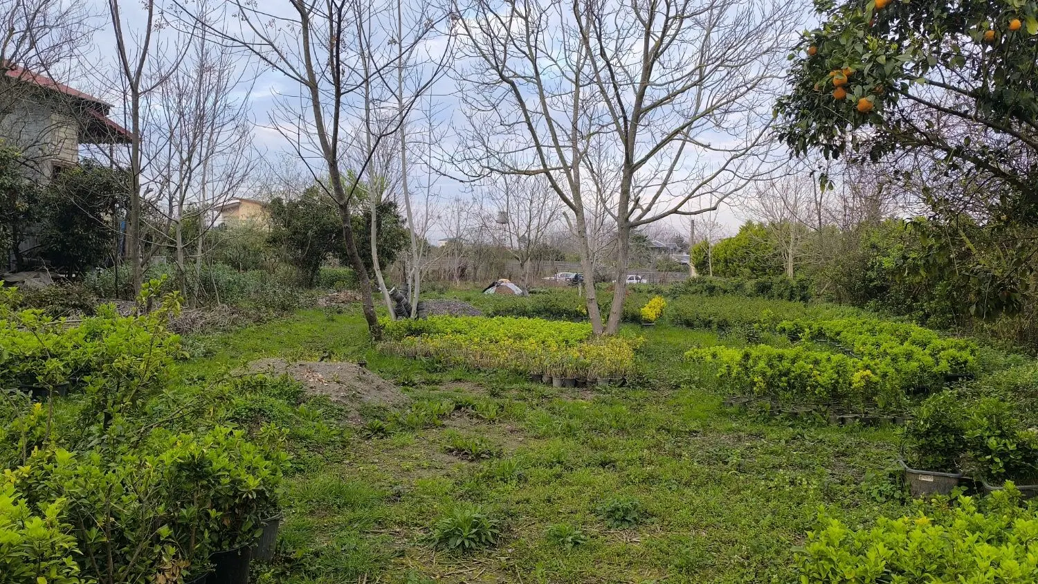 زمین باغی ۱۲۰۰ متری ( اطرف زمین ویلا سازی شده )