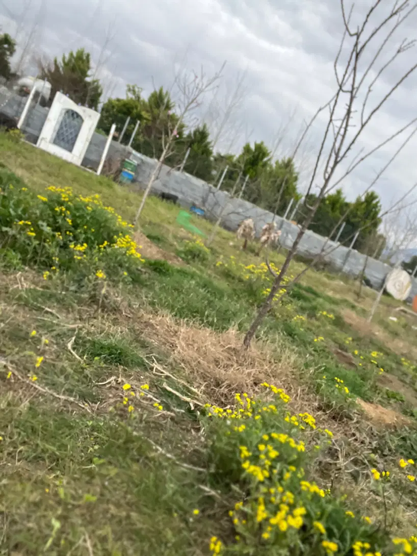 کلنگی عمرانی (زرگنده)دلیری ۵۰ متر زمین در ۳ طبقه
