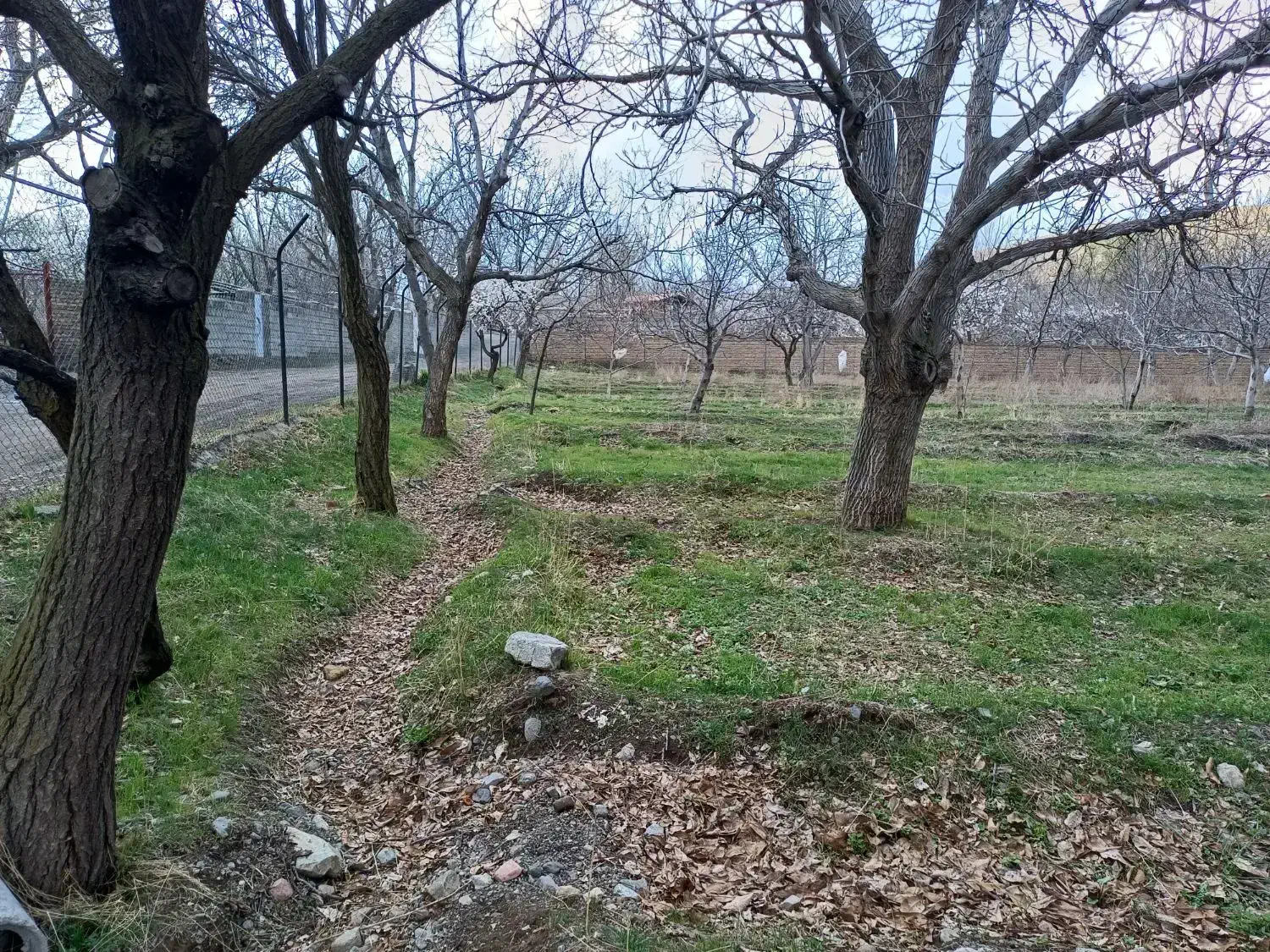 باغ در منطقه گردشگری محراب کندلج
