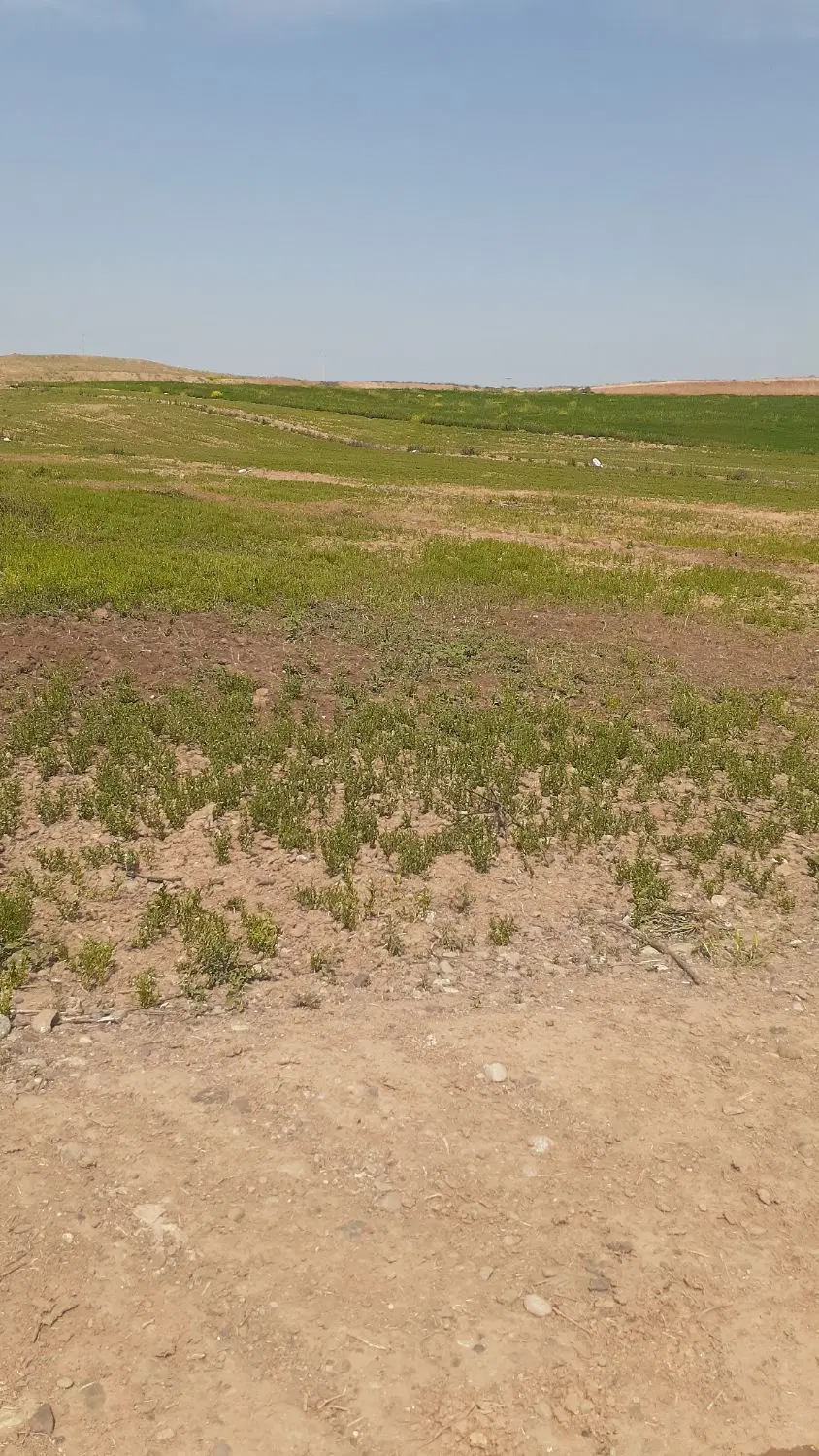 فروش زمین در کارشناسان ۱۷۲ متر