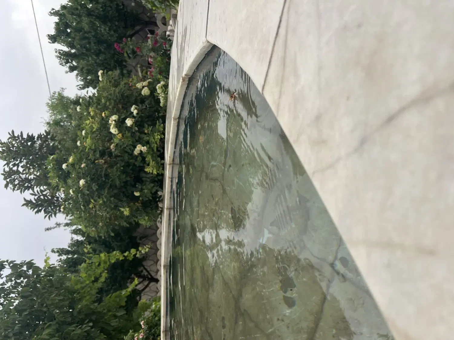 ویلایی
