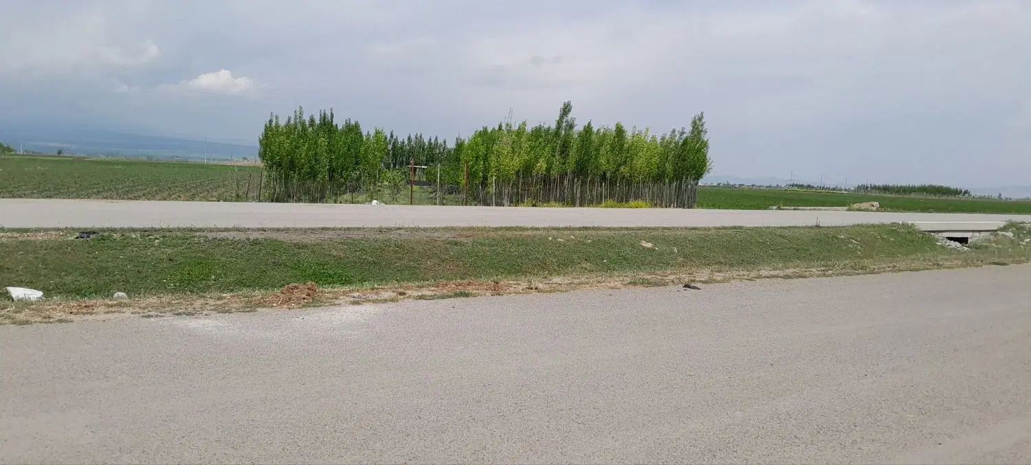 باغ کنار اتوبان