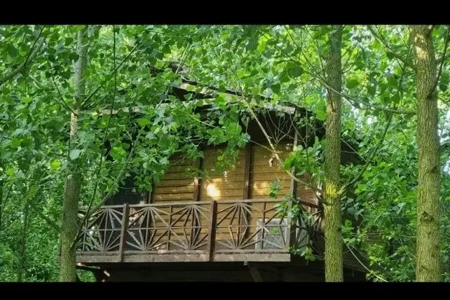 تجربه ای فراتر از اقامت