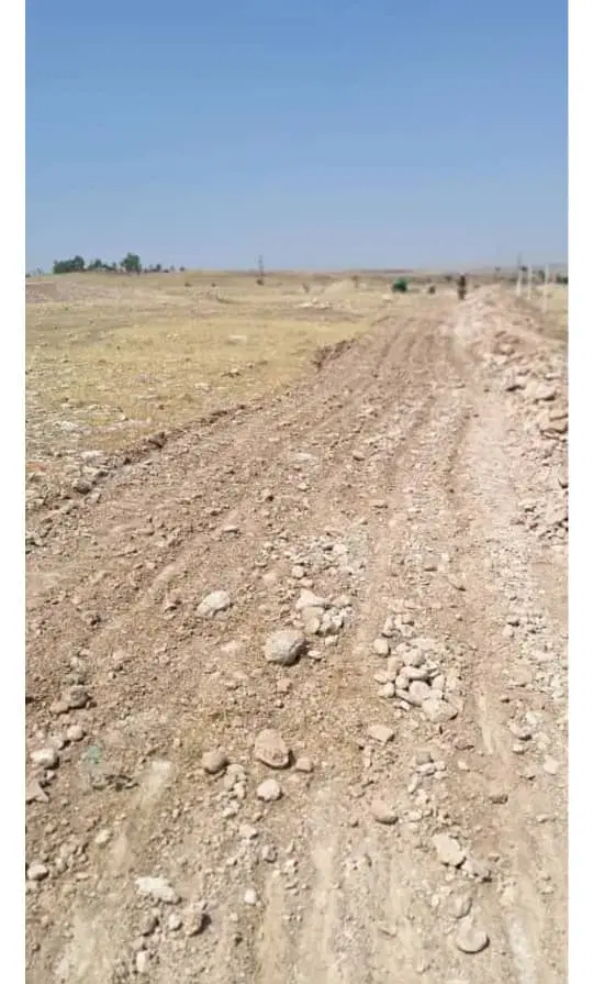 فروش زمین زراعی وباغی تلخاب شیرین لبه جاده اصلی