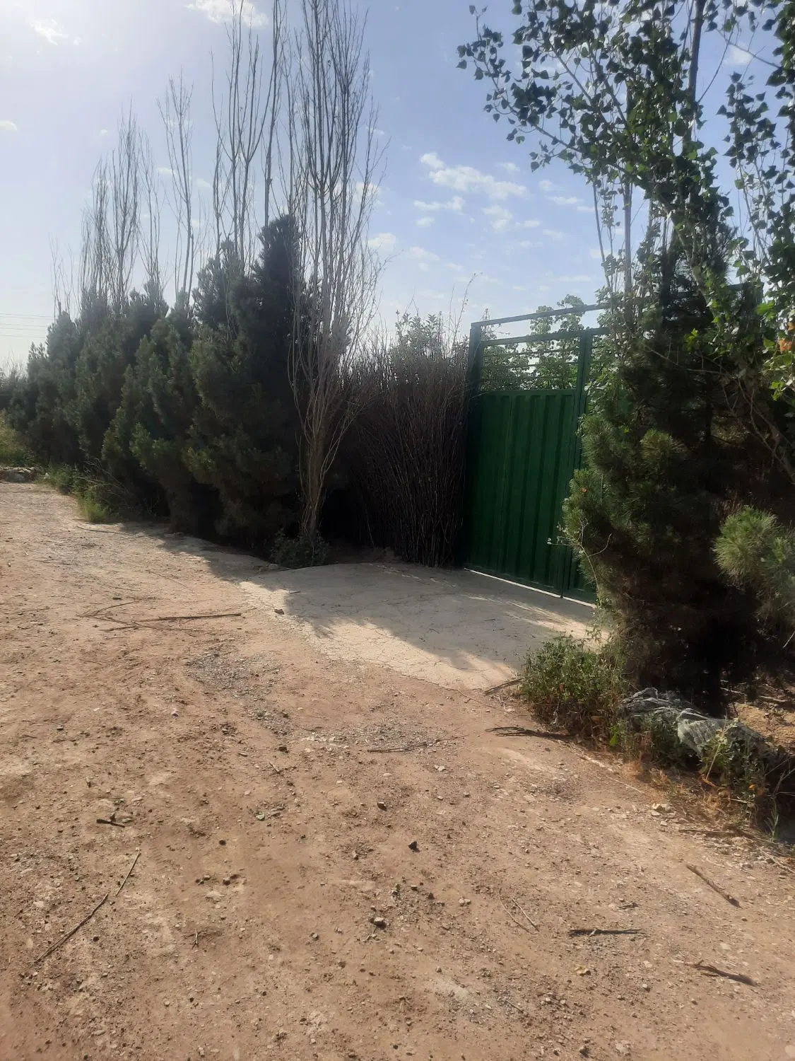 باغ ۲۴۰۰ متری سند دار