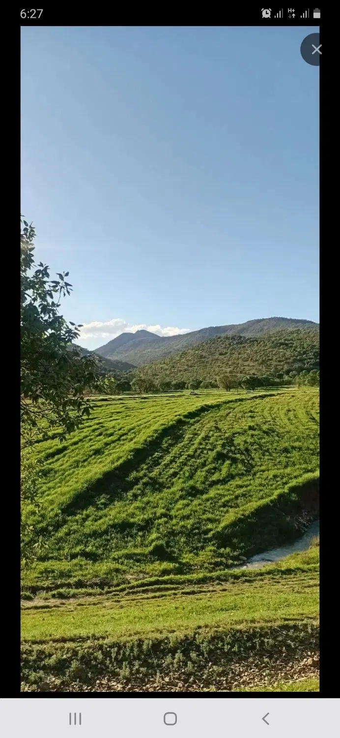 فروش زمین