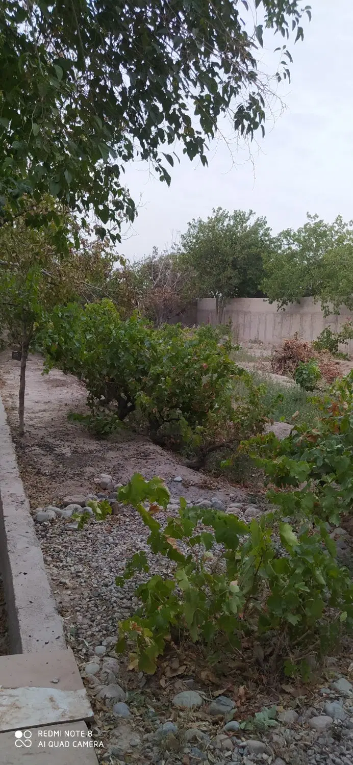 باغ . ویلا به متراژ 4280متر