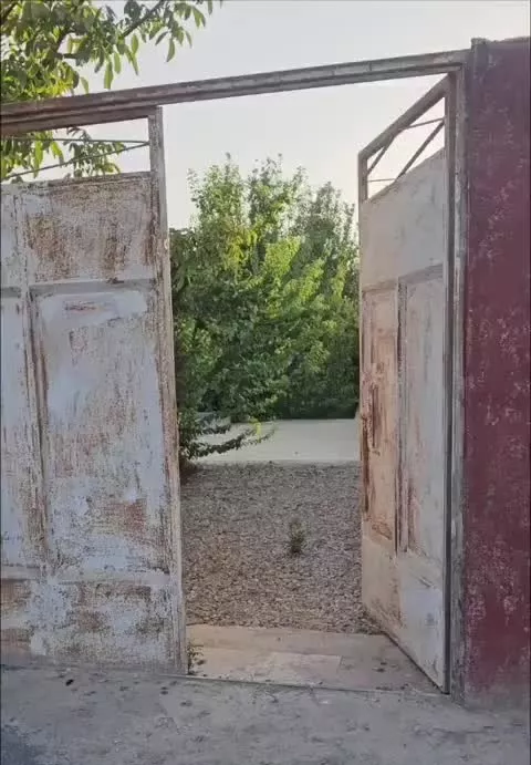باغ میوه  ۵۰۰متری با اتاق و دیوار بلند  پیربکران