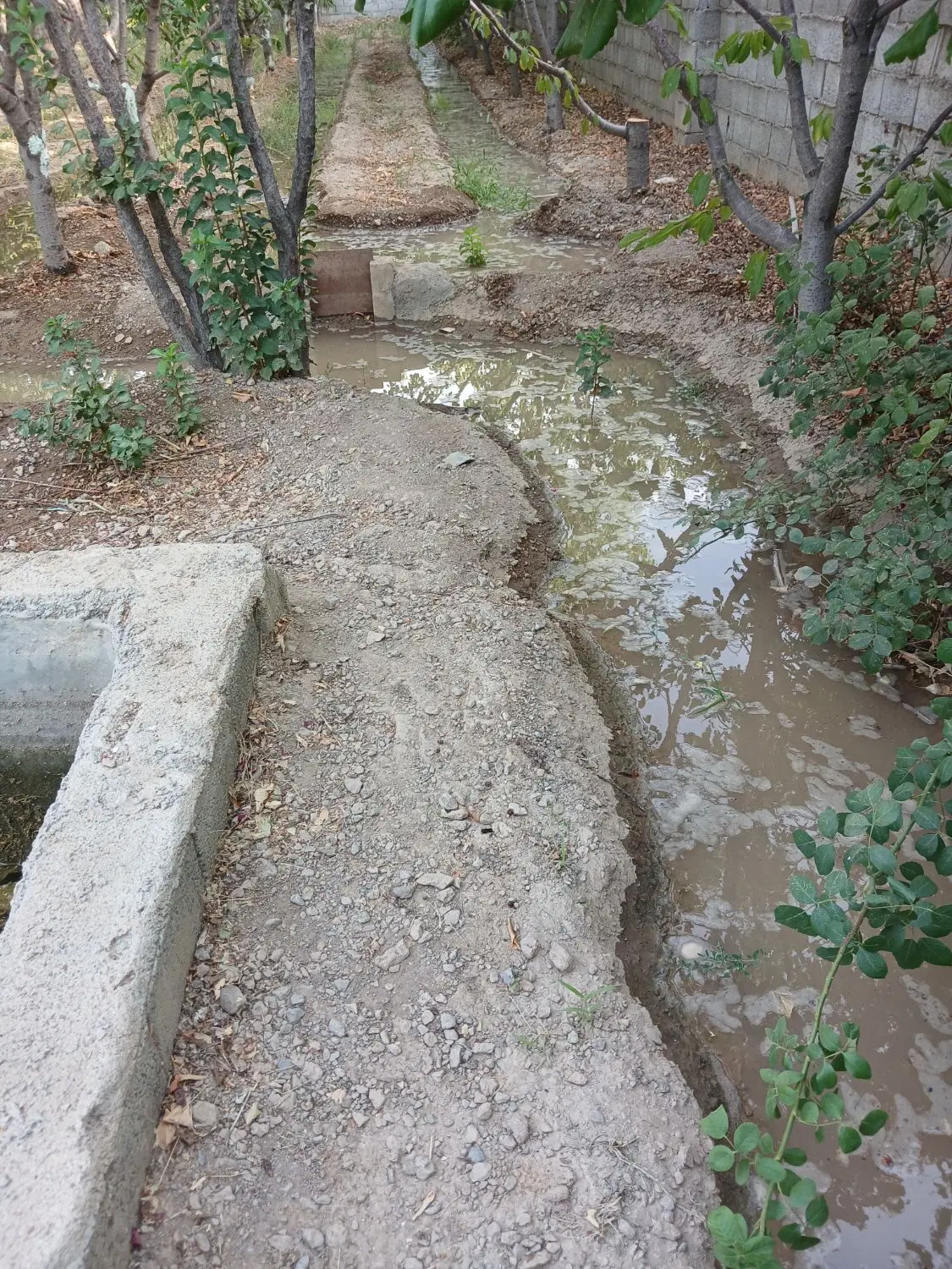 ی باغ ۹۱۵ متری