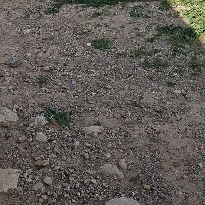 200متر زمین آشوری کوچه ماهر