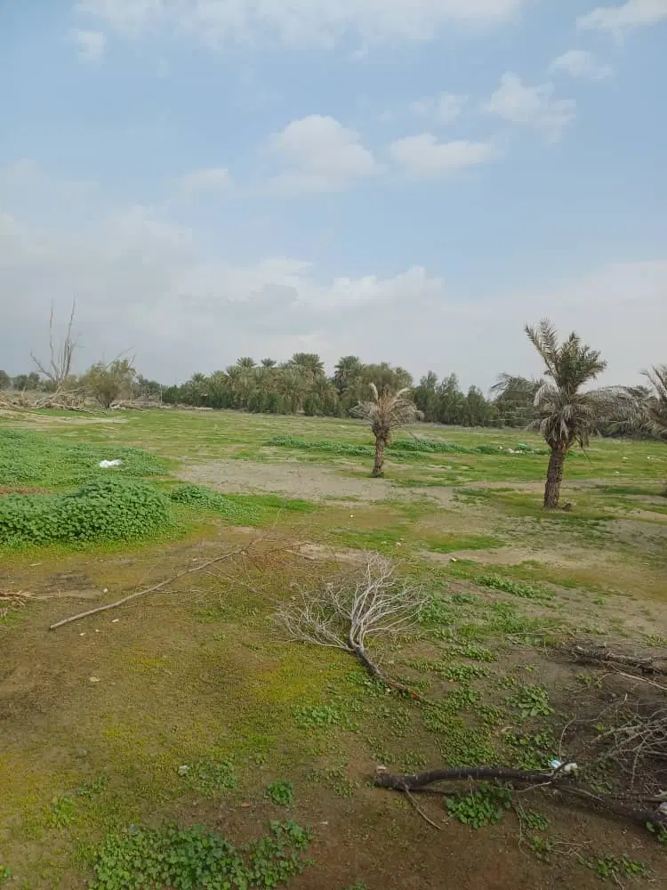 فروش زمین