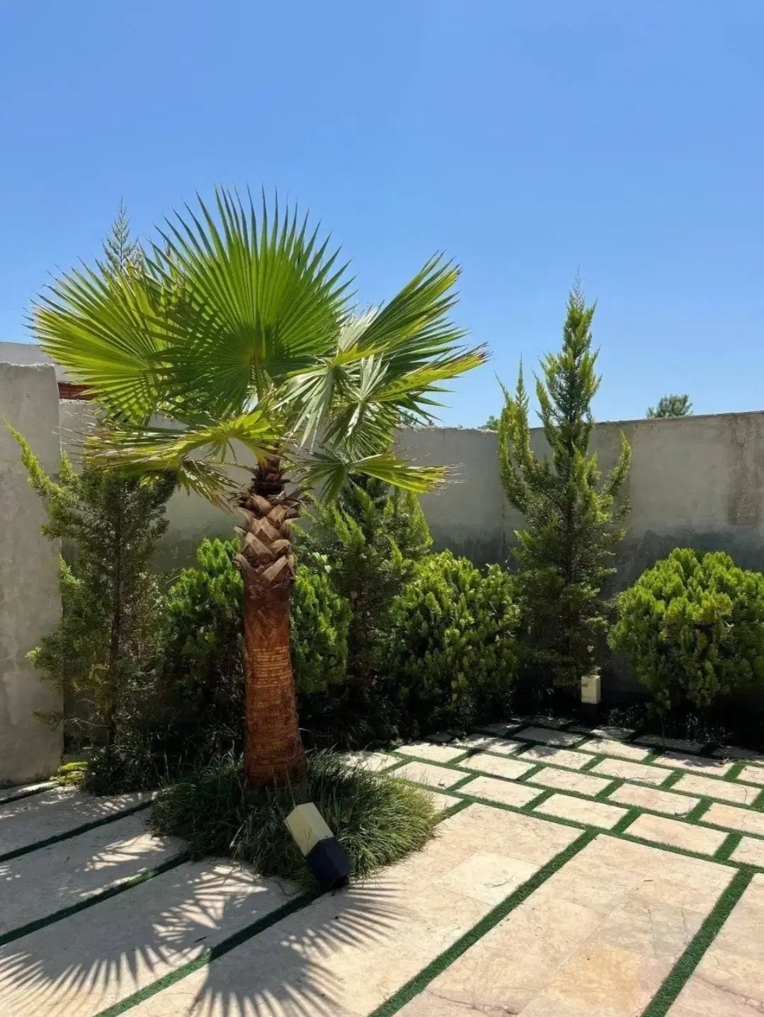 ویلاباغی که حیفه تو مالکش نباشی_ش مال