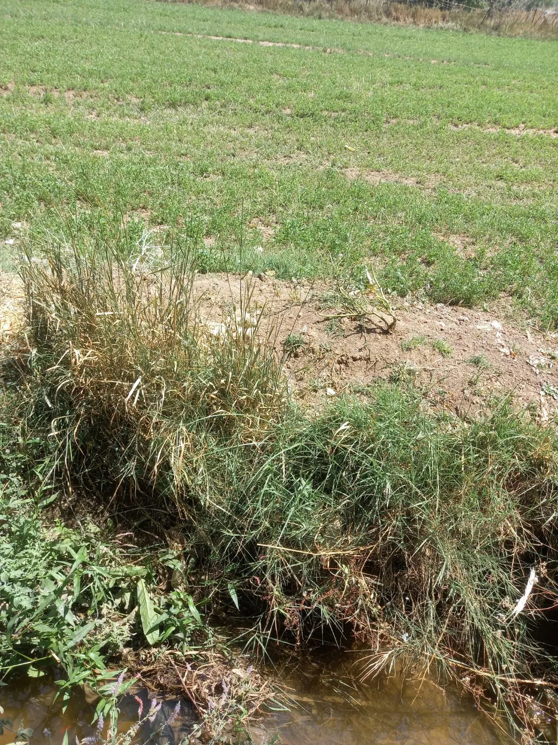 فروش زمین بر اتوبان