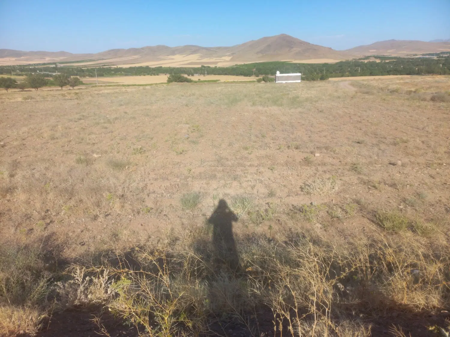 زمین