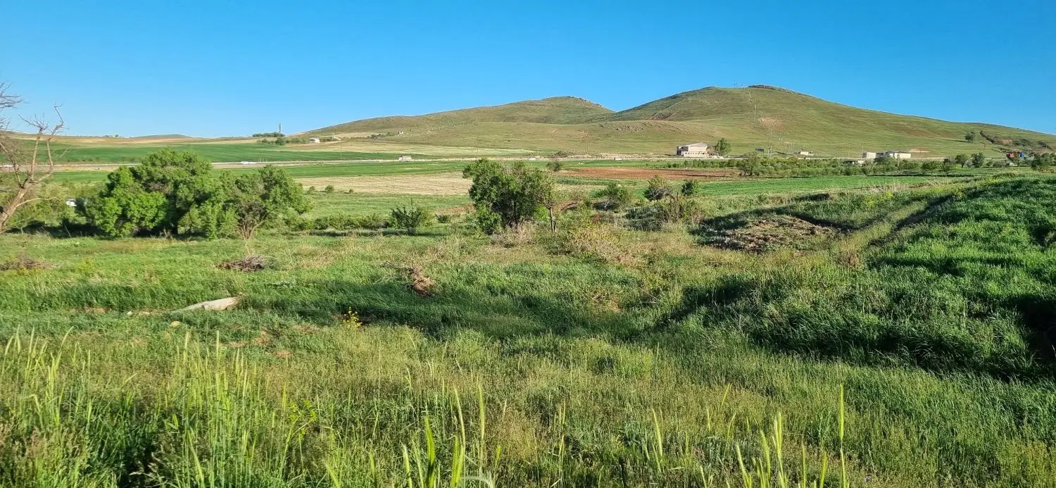 زمین دیم لباس جاده