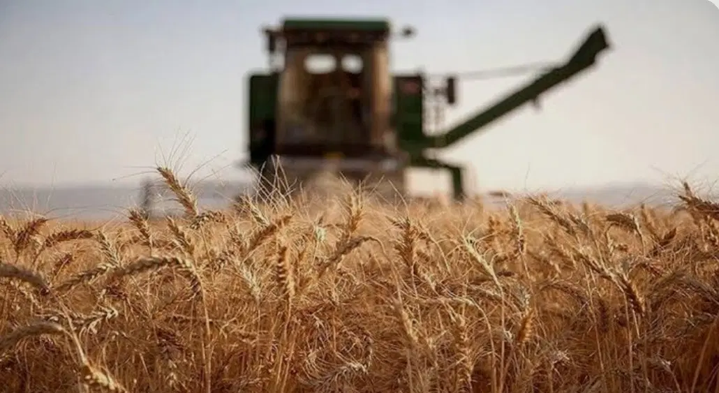 زمین کشاورزی