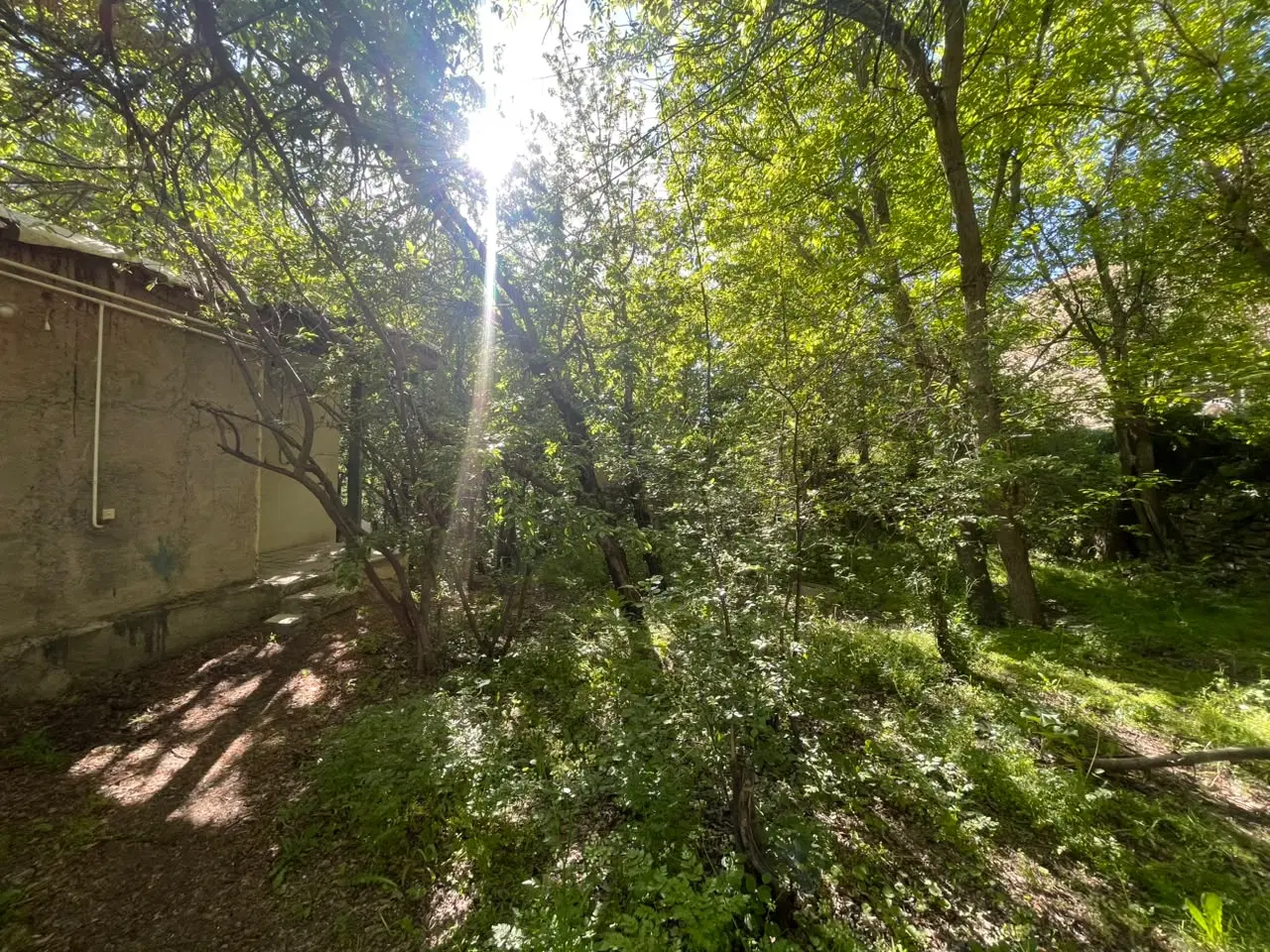 ملک مسکونی