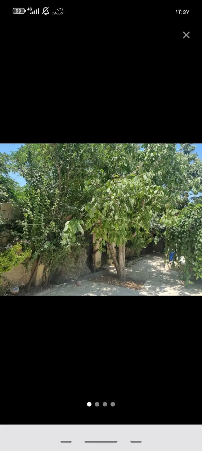 زمین باغ