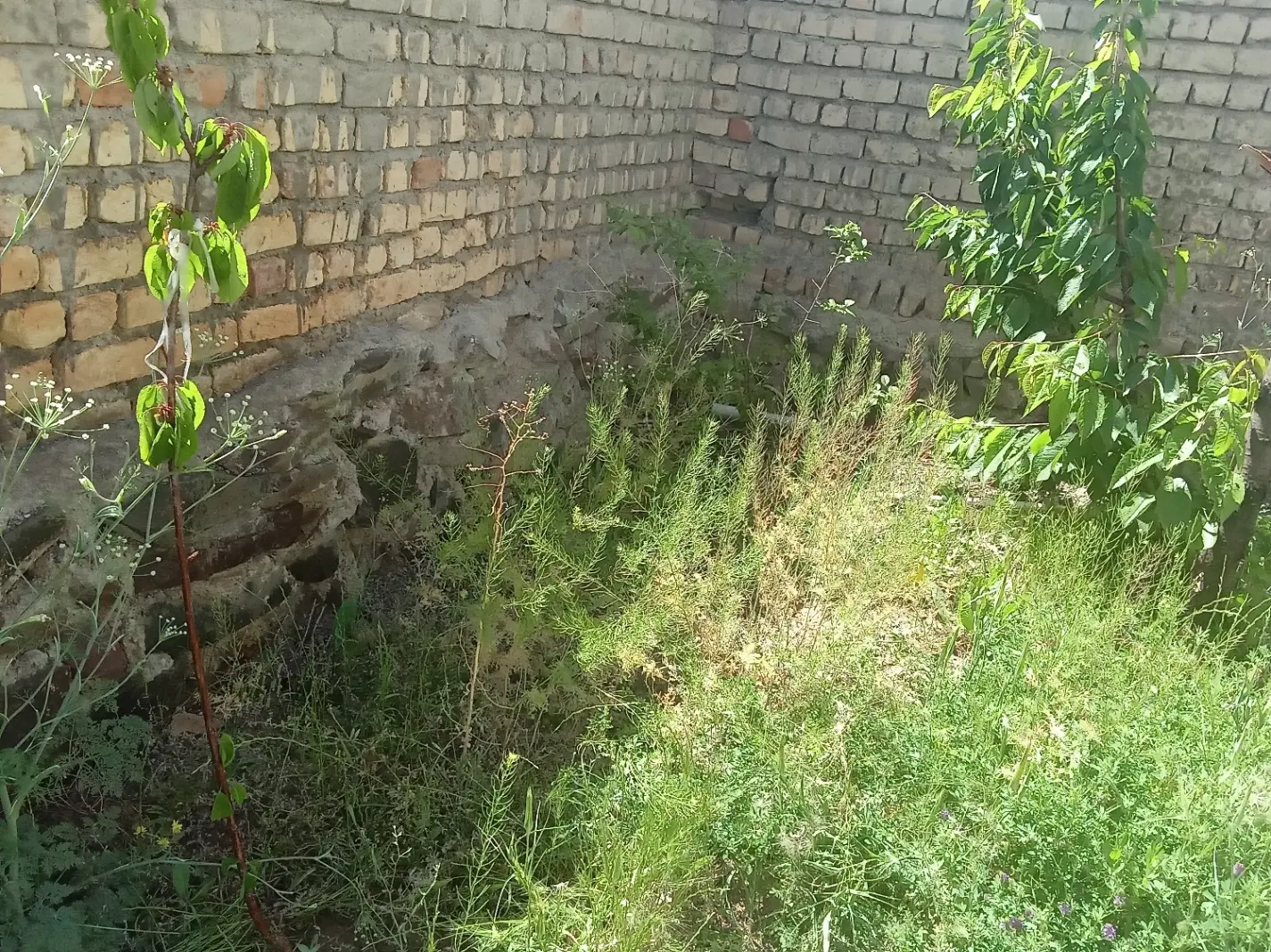 فروش  ویلا در منطقه کوهستانی و خوش آب و هوا