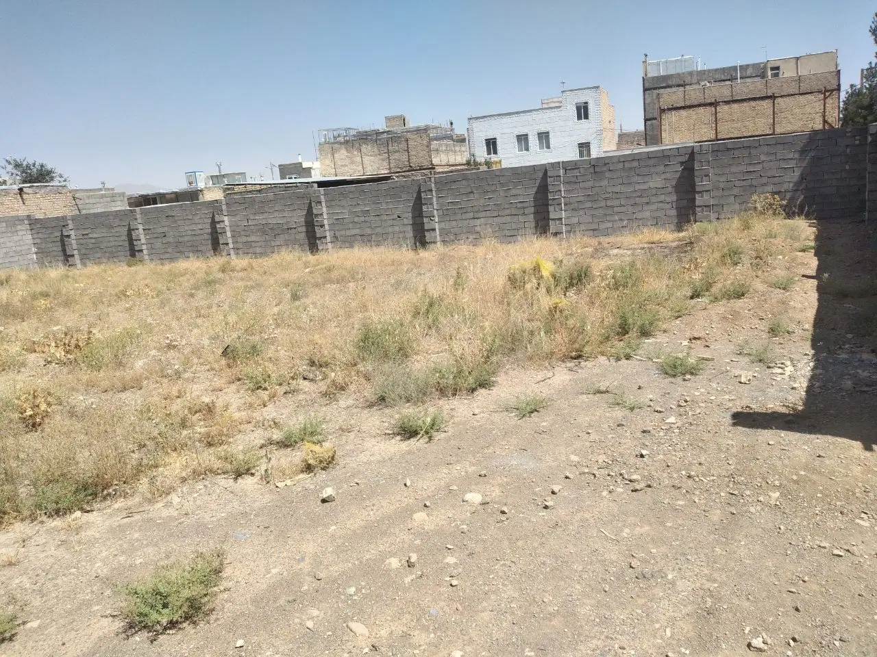 زمین
