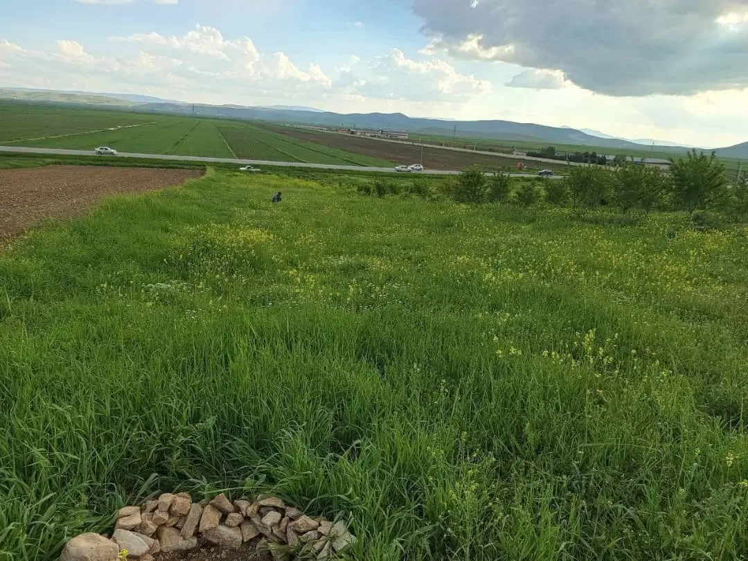 زمین کشاورزی