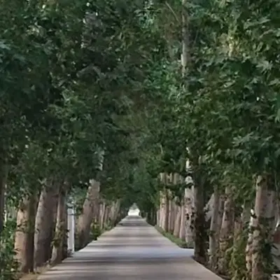 زمین کمالوند