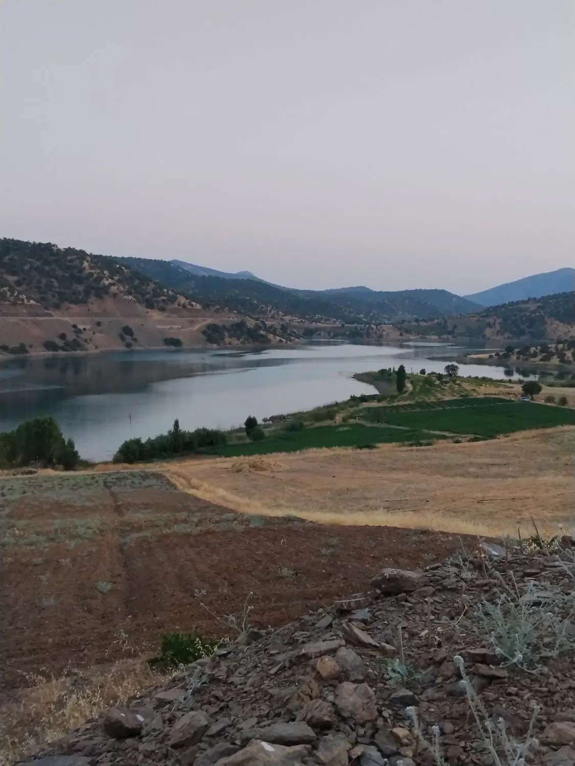 زمین کشاورزی و باغ