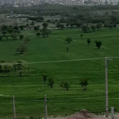فروش زمین مناسب باغ