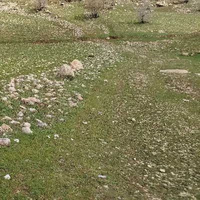 زمین سه دانگ پگاه رزم آوران