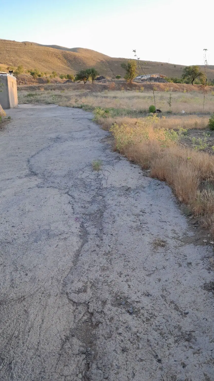 زمین باغی