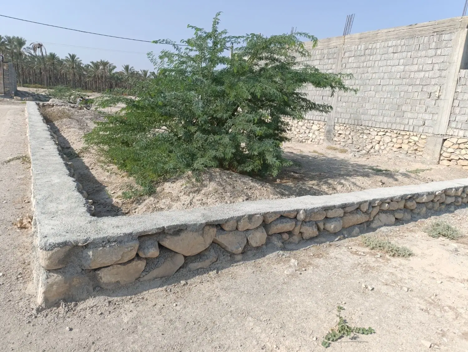 زمین مسکونی در شهر اهرم