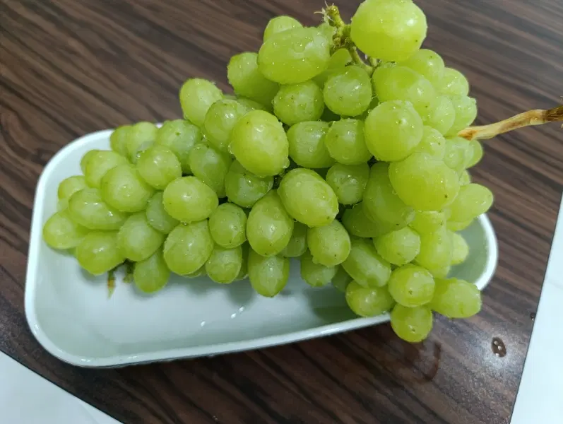 باغچه  900 متر جاده سنتو