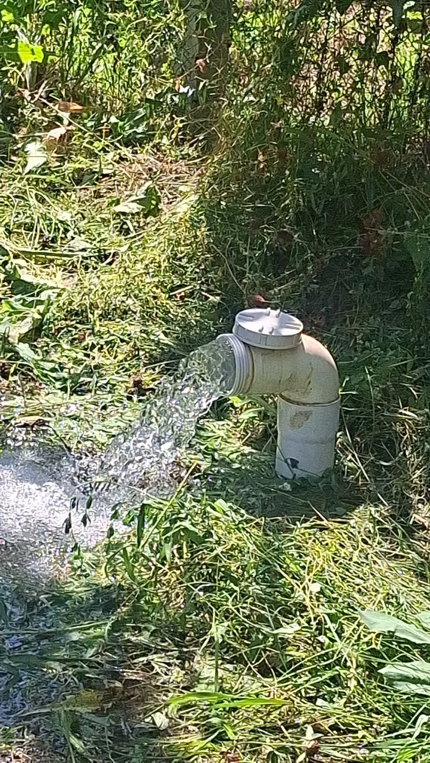 فروش باغ آلو در شمس حاجیان
