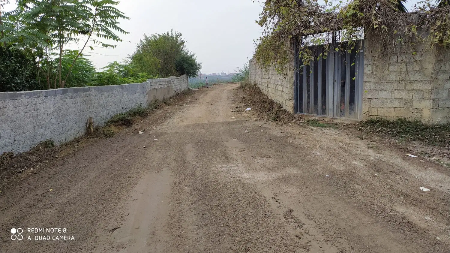 زمین فروشی جاده ساحلی کمانگر کلا
