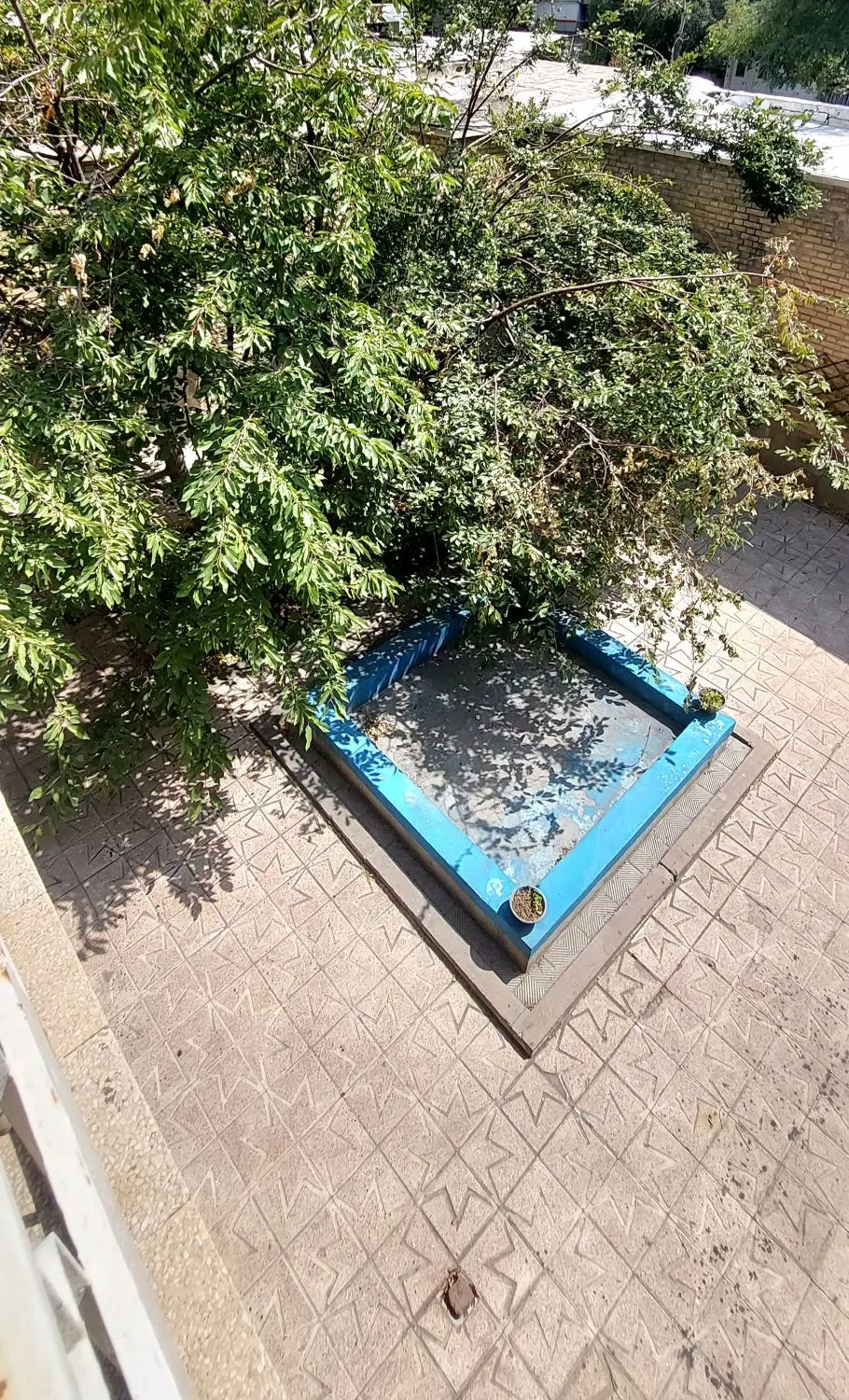اجاره حیاط دربست خیابان امام_چهارراه منصور_350 متر