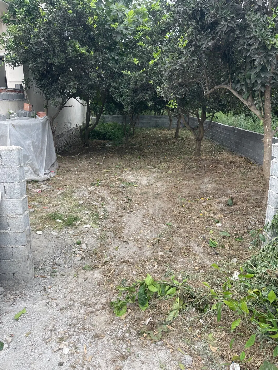 زمین بافت شهری درویشخیل 150 متر