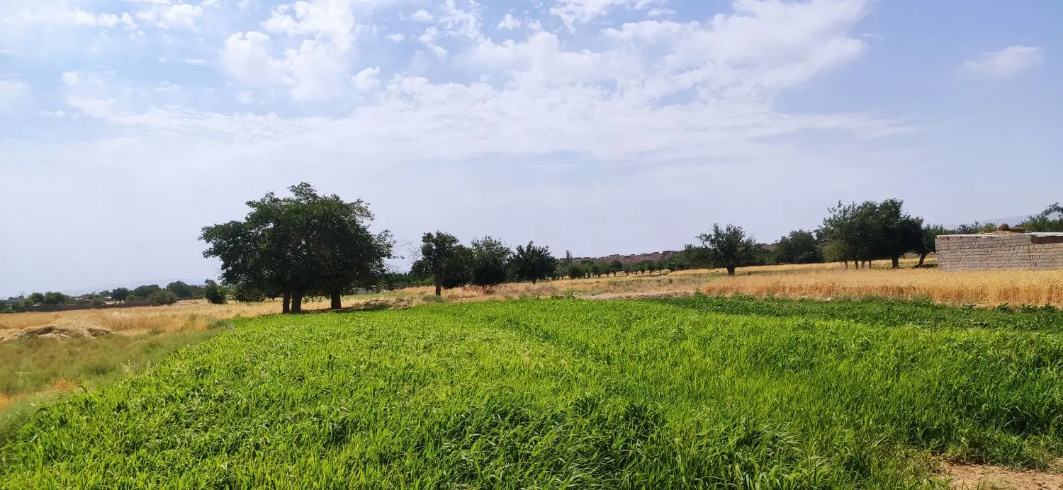 باغ و  زمین کشاورزی  در کشمون خشویی فروشی