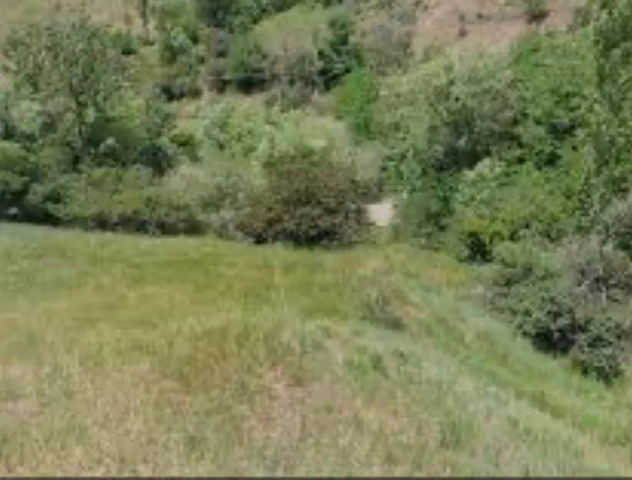 زمین