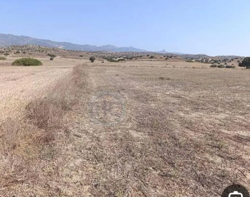 زمین مسکونی