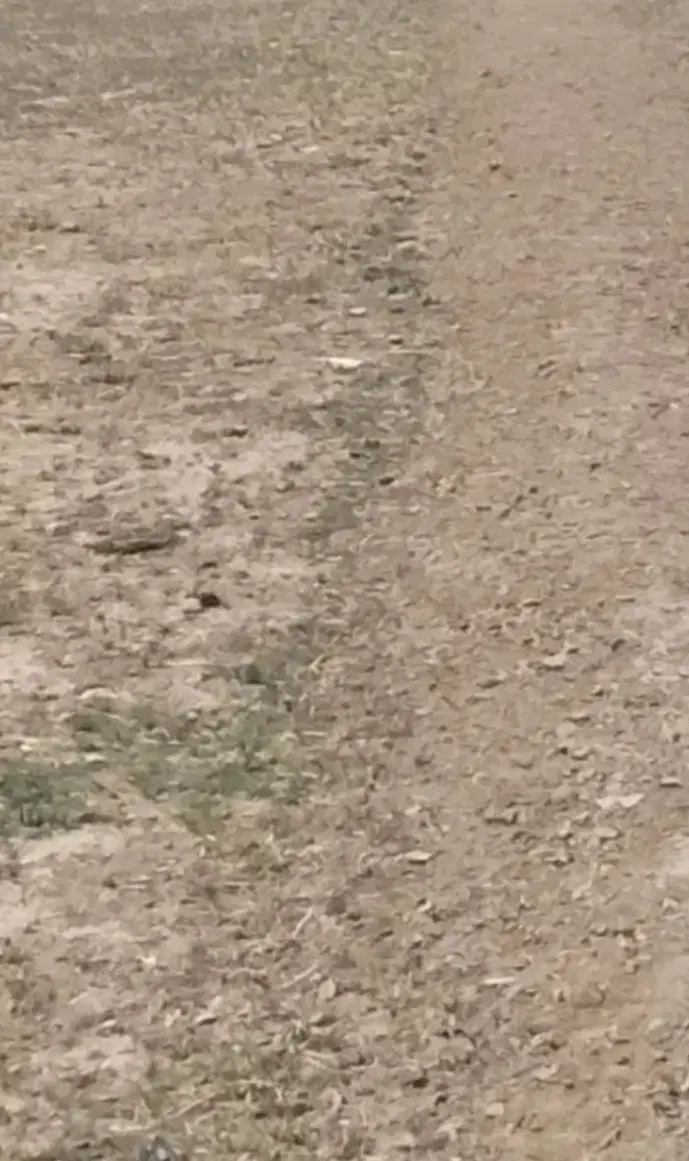 زمین باغی باحق آب چاه محمودآباد