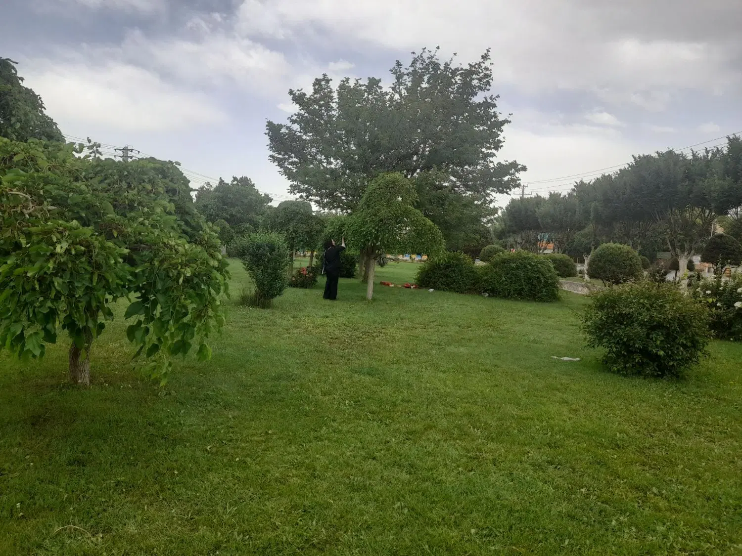 زمین ملکی