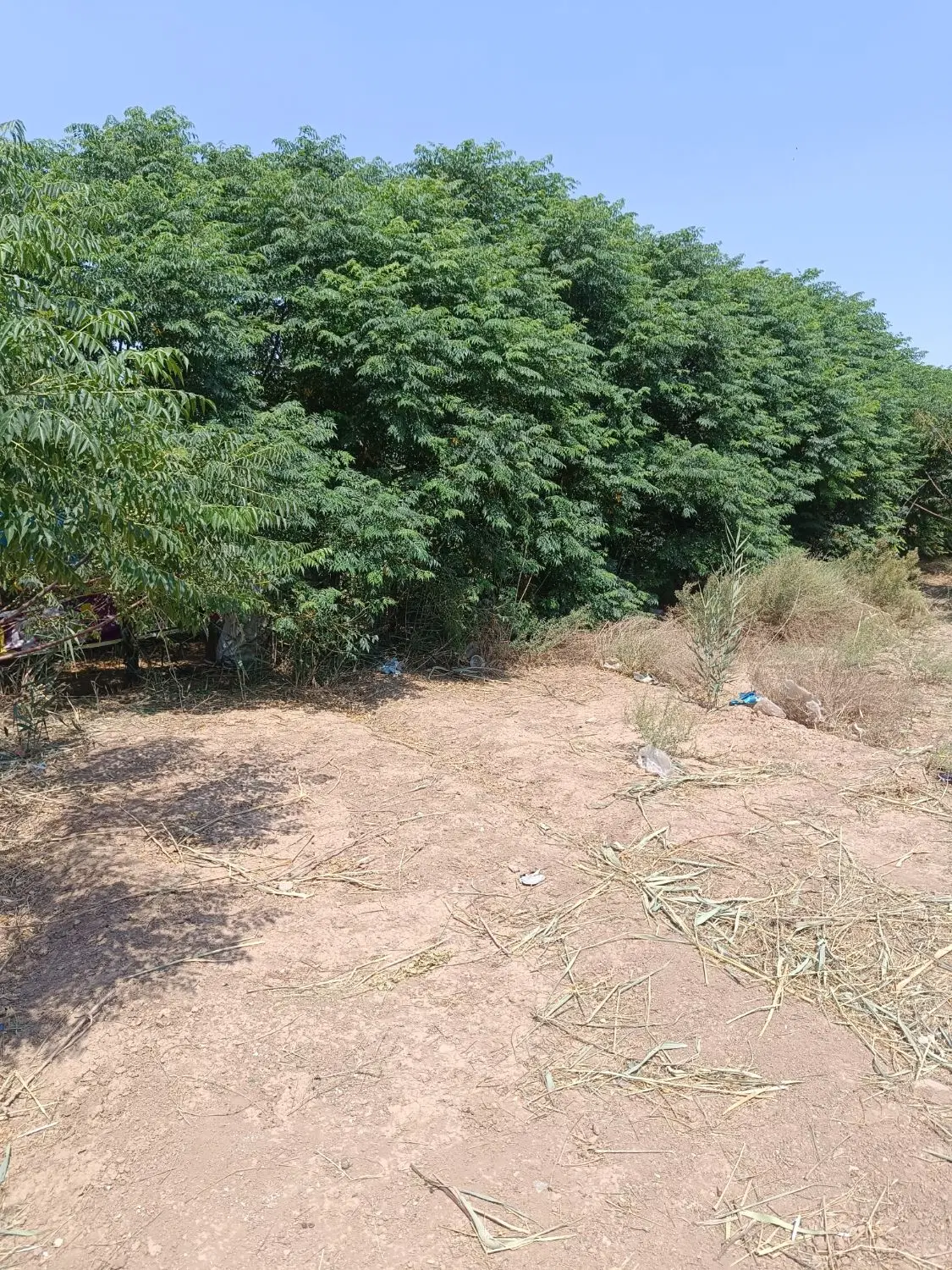 زمین برای باغچه نقلی جای خوب دارای آب موتور