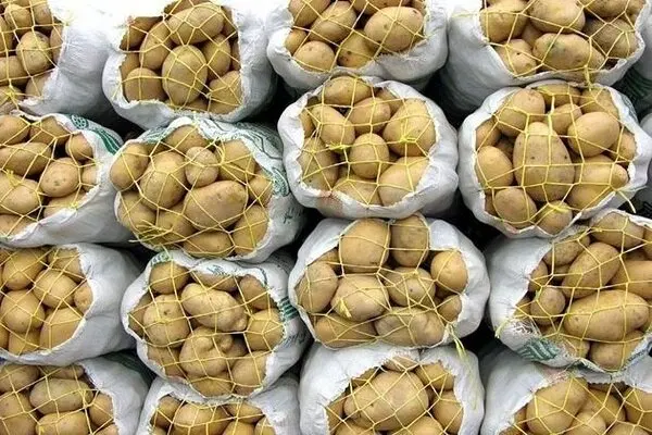 انبار سیب زمینی
