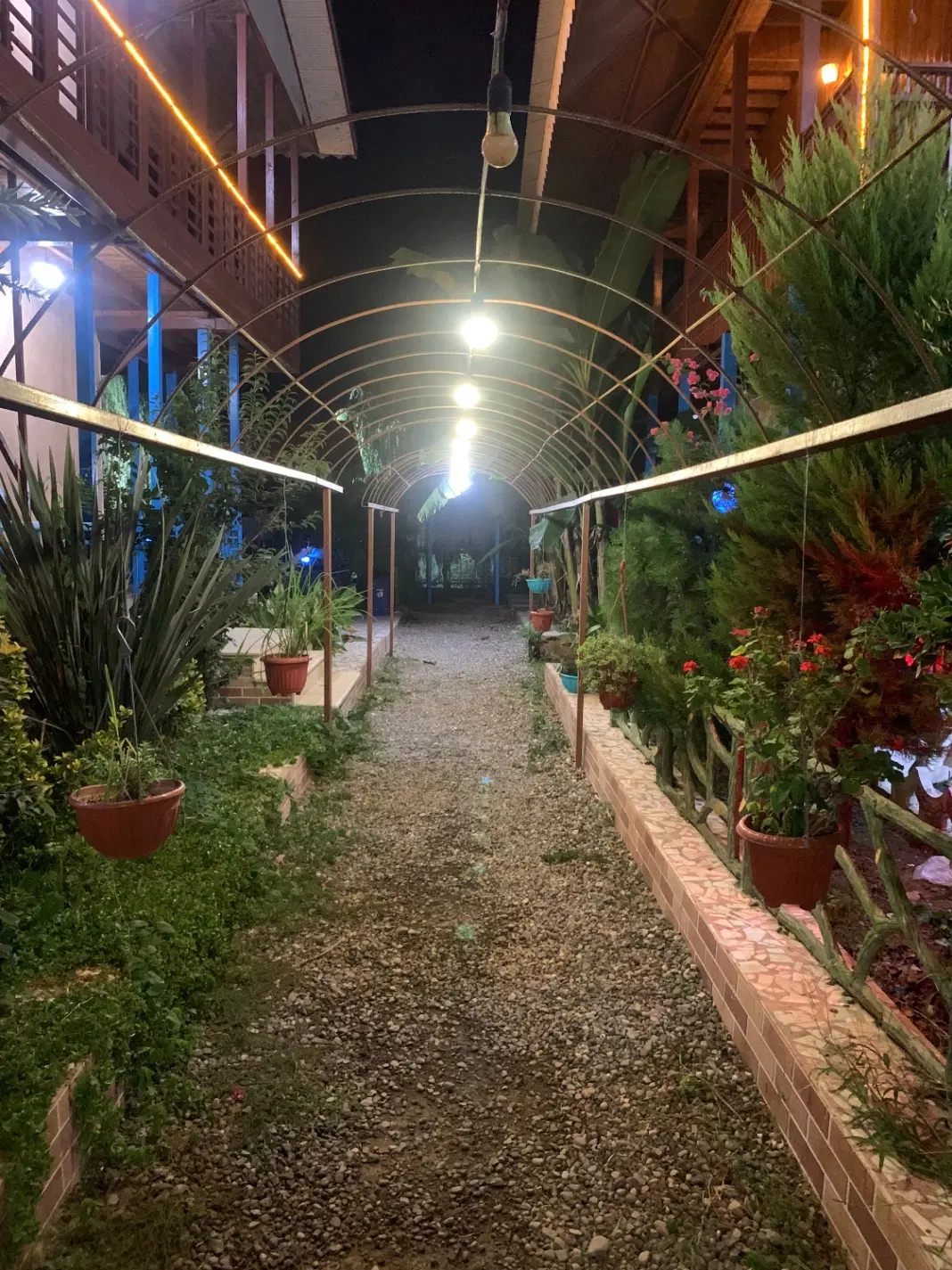 رهگذر شهر باران