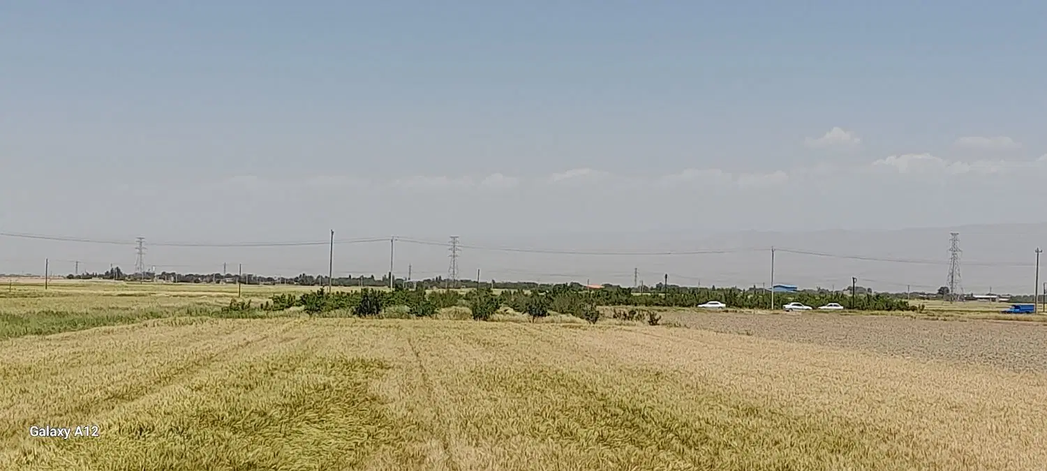 زمین گلخانه و باغ