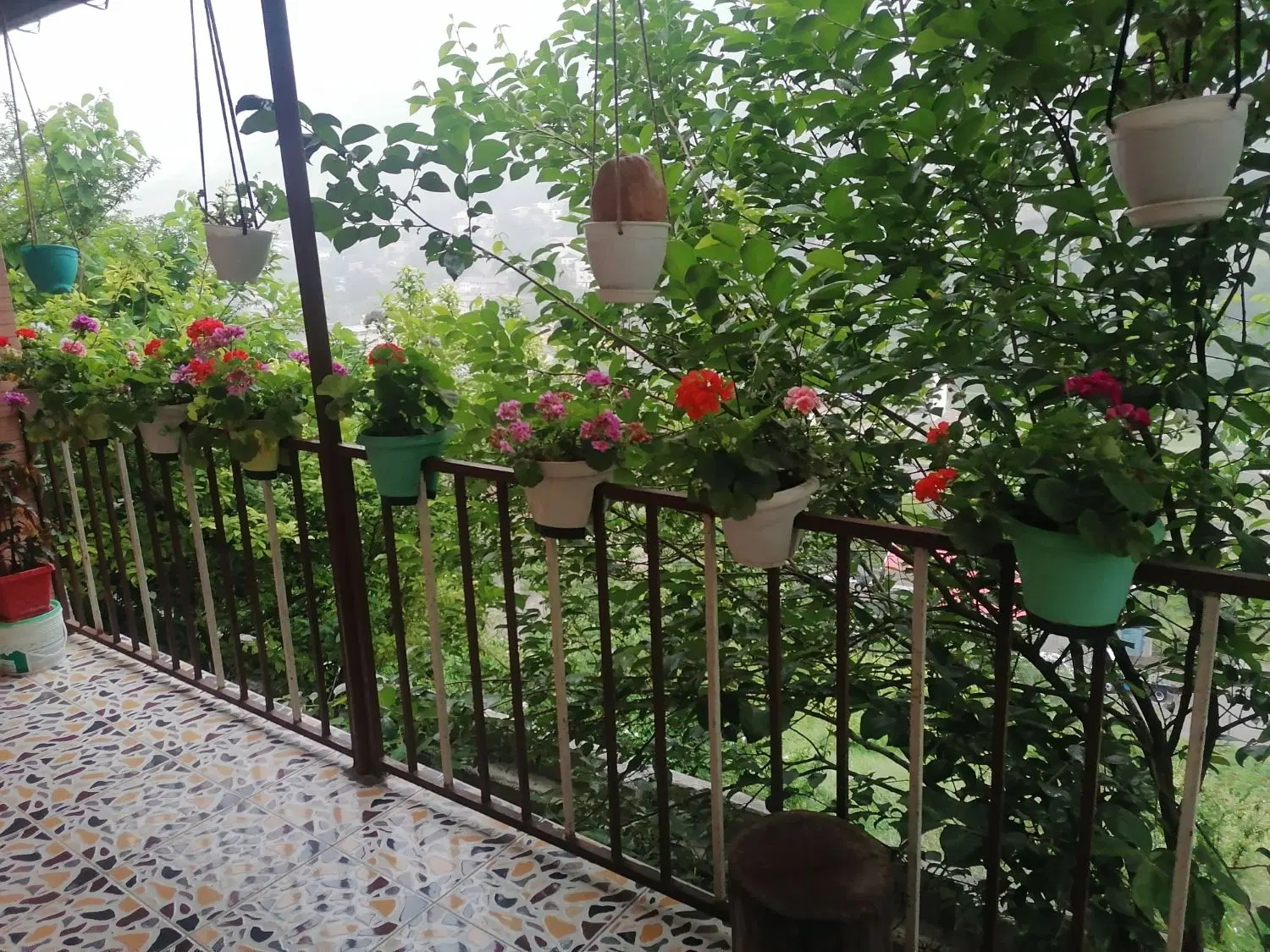 اجاره_ویلایی_حیاط دار