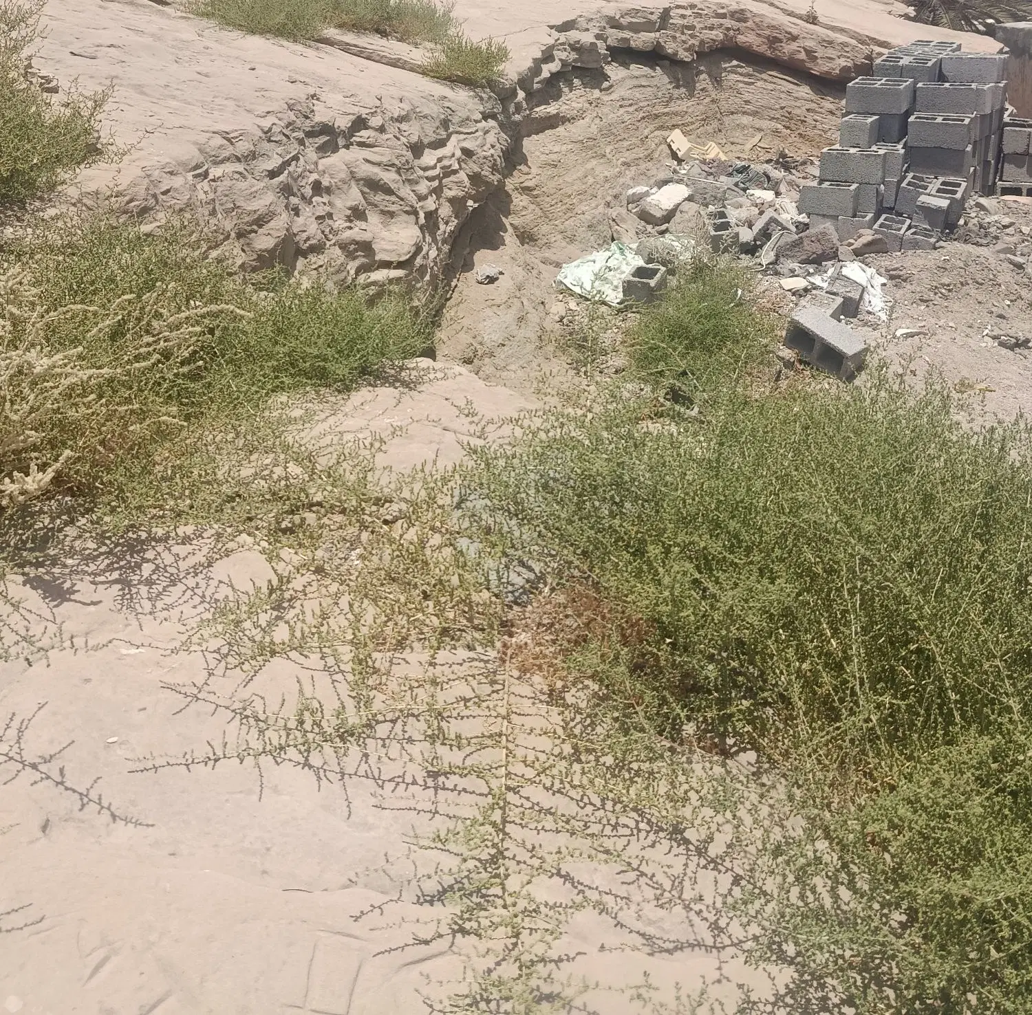 فروش زمین مسکونی